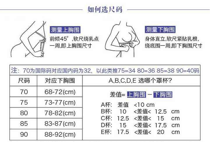 总结图